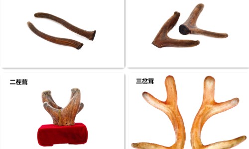 肾脂肪瘤会自己消失吗-肾脏肌脂瘤能吃什么营养网 - 为你提供肾脏肌脂瘤能吃什么营养品、肾脏肌脂瘤能吃什么营养品好