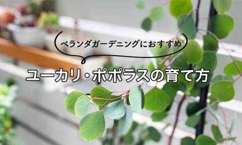 肾脂肪瘤会自己消失吗-肾脏肌脂瘤能吃什么营养网 - 为你提供肾脏肌脂瘤能吃什么营养品、肾脏肌脂瘤能吃什么营养品好