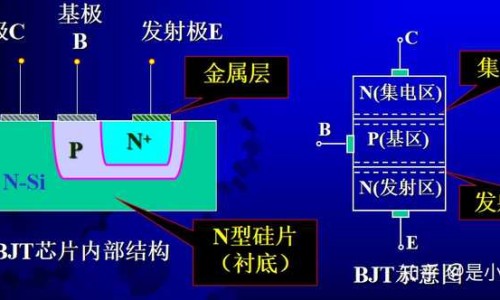 肾脏肌脂瘤能吃什么营养品好-肾脏肌脂瘤能吃什么营养网 - 为你提供肾脏肌脂瘤能吃什么营养品、肾脏肌脂瘤能吃什么营养品好